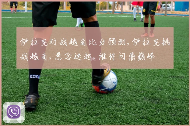 伊拉克对战越南比分预测,伊拉克挑战越南,悬念迭起,谁将问鼎巅峰