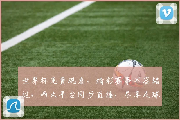 世界杯免费观看，精彩赛事不容错过，两大平台同步直播，尽享足球盛宴，不容错过