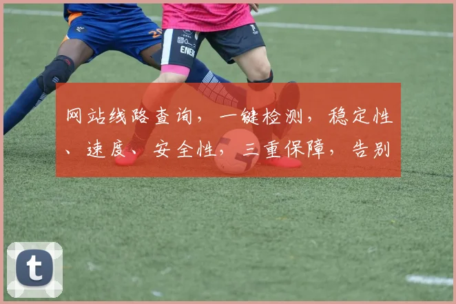 网站线路查询，一键检测，稳定性、速度、安全性，三重保障，告别卡顿