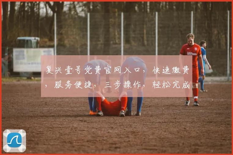 复兴壹号党费官网入口，快速缴费，服务便捷，三步操作，轻松完成，党员必备